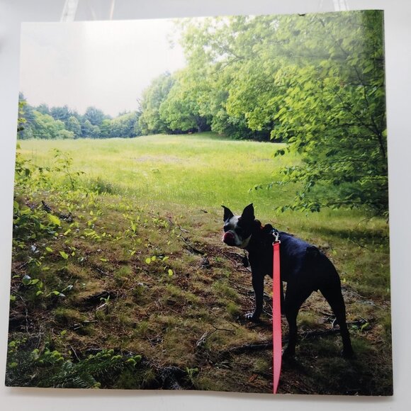 Whittier's Birthplace in Pictures Book by Mark Reusch Photographs - Picture 9 of 10